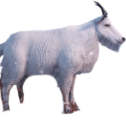 Goat | Horizon Zero Dawn Wiki